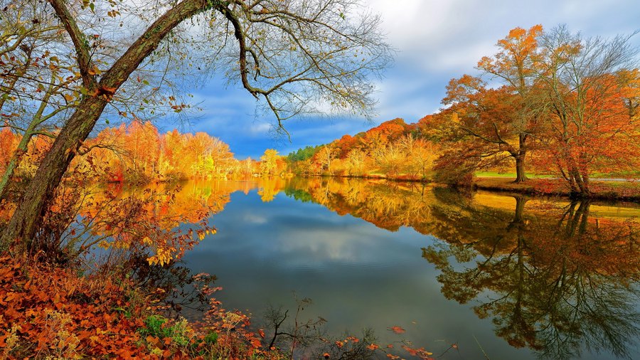 Ultra HD Landscape Wallpaper 122 document preview